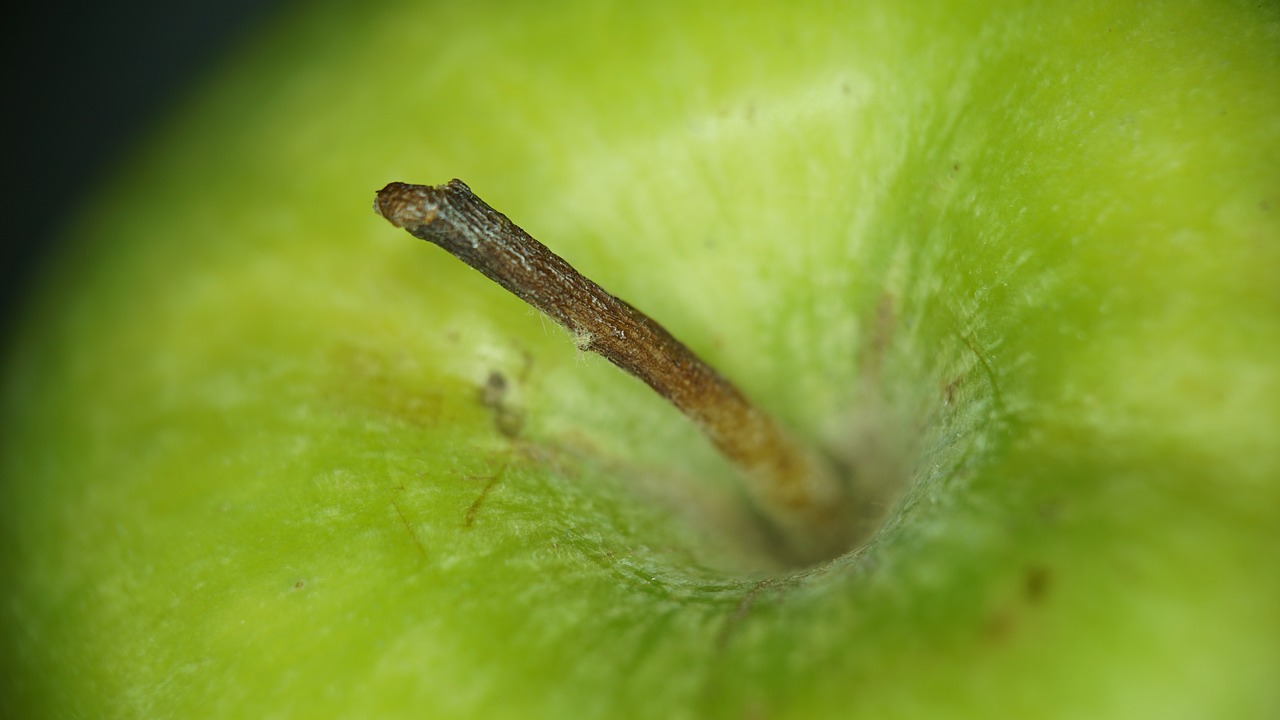 green apple fruit free photo