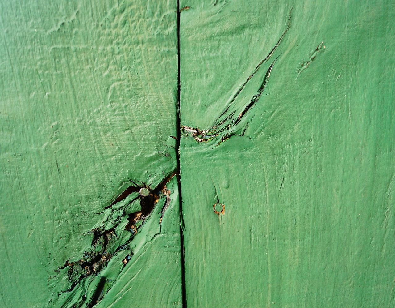 green wood wooden wall free photo