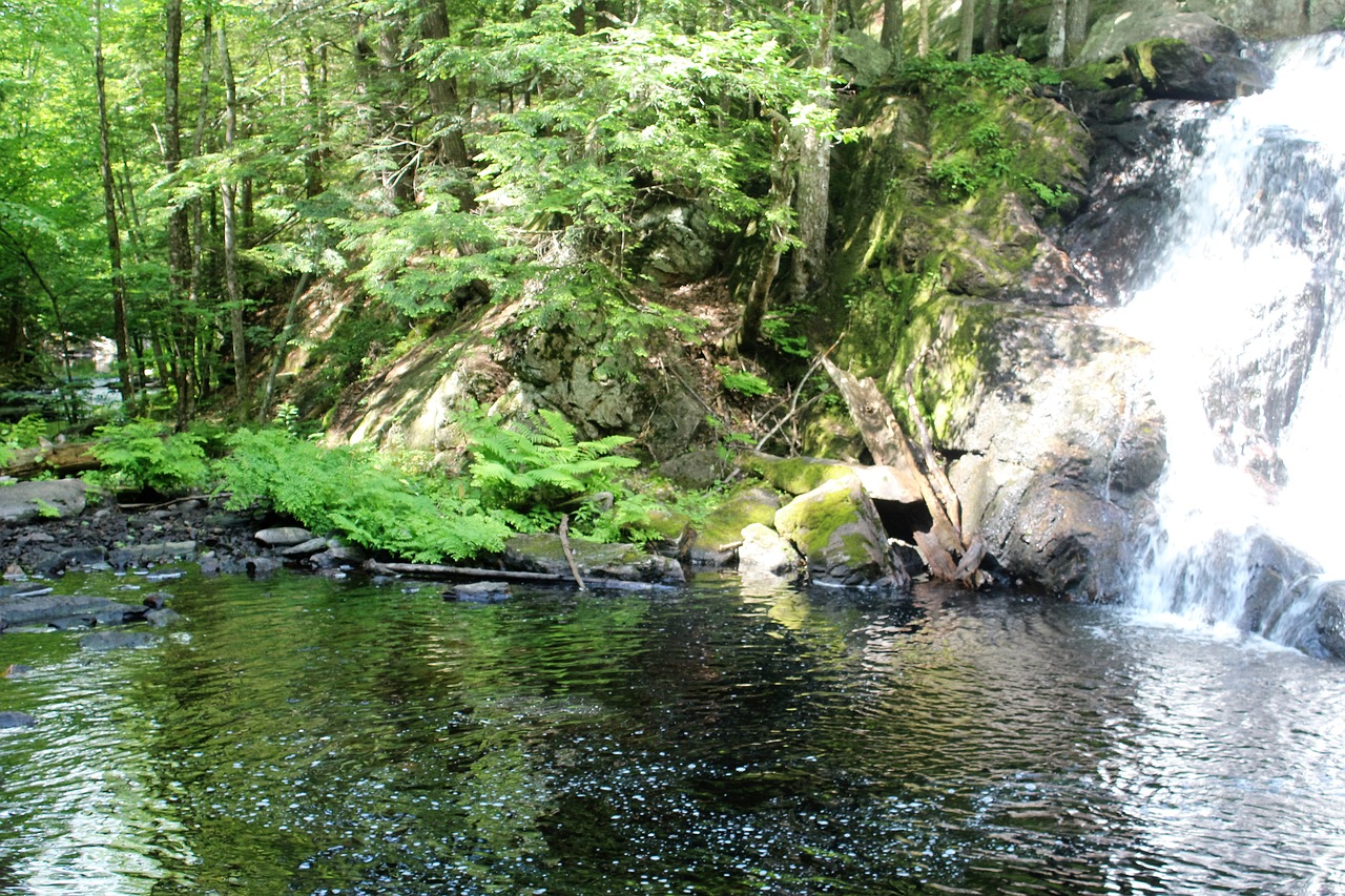 green water waterfall free photo