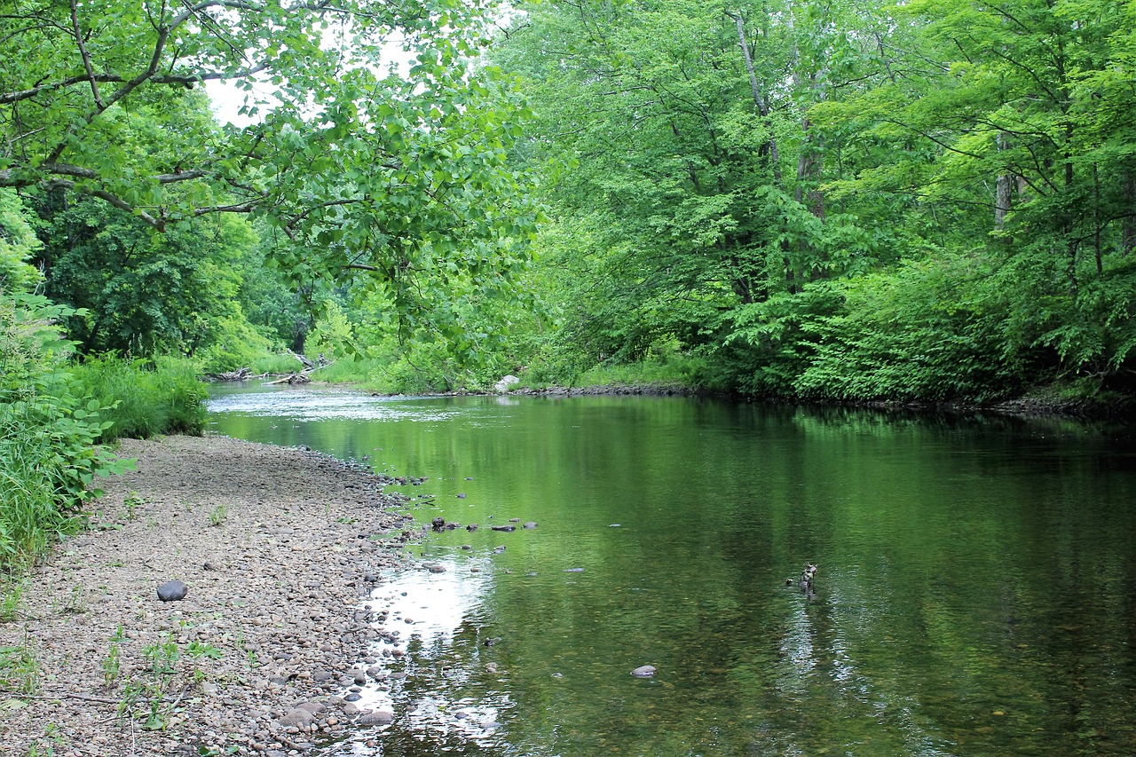 green lazy river water free photo