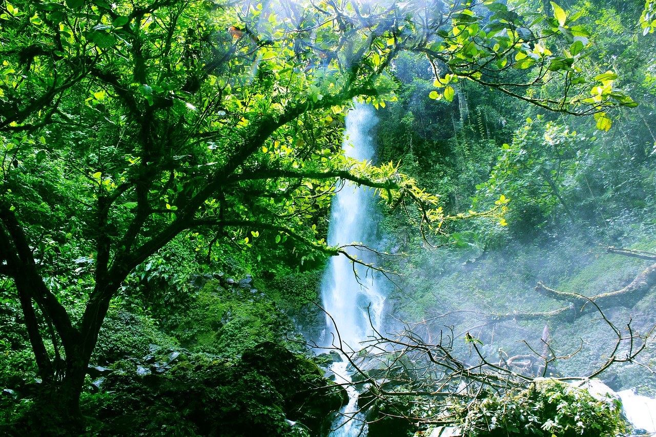 green waterfall rain forest free photo