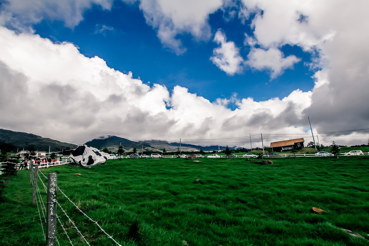 green ecosystem cloud free photo