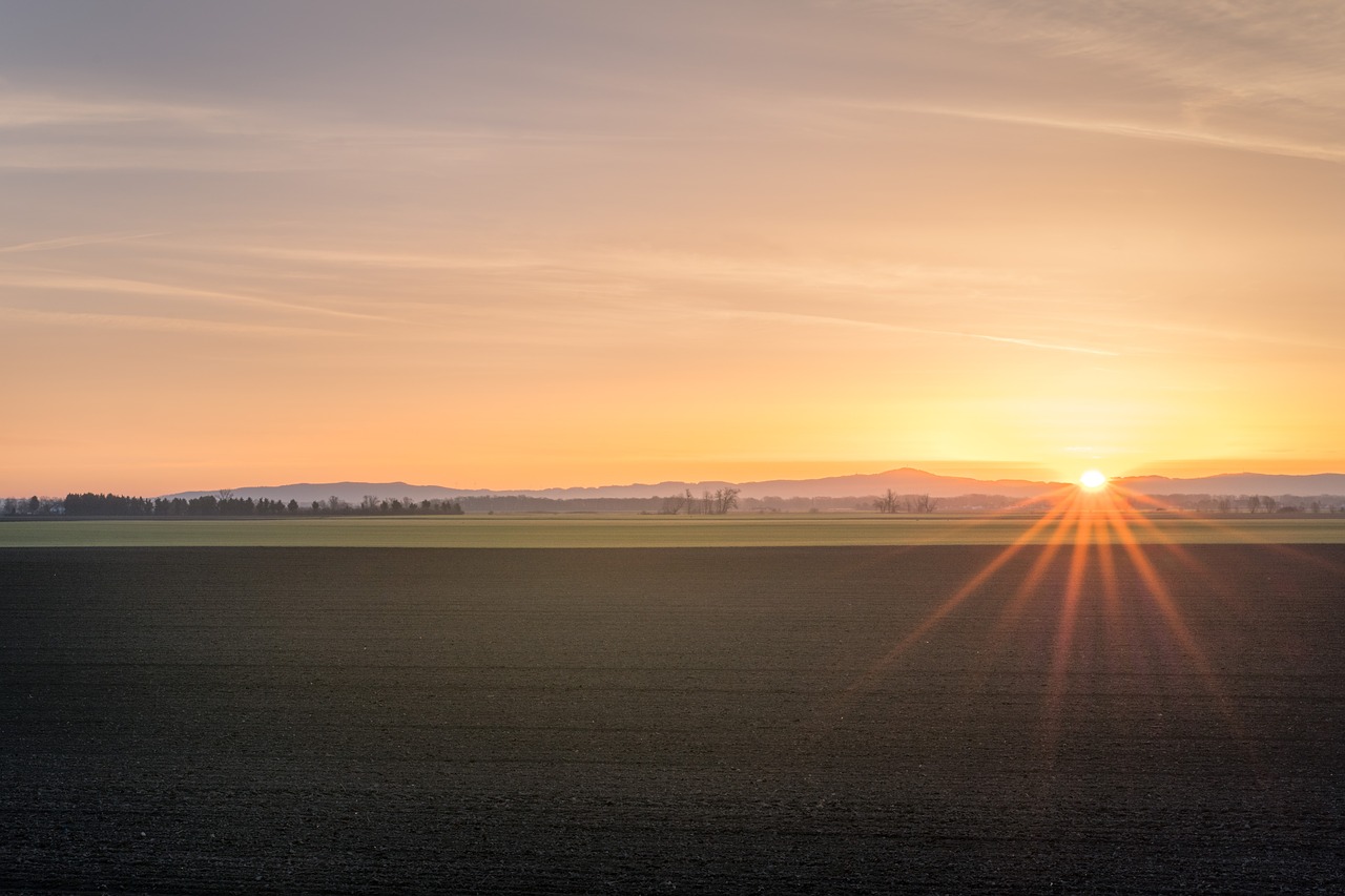 green field agriculture free photo