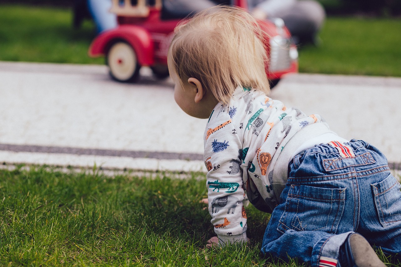 green grass playground free photo