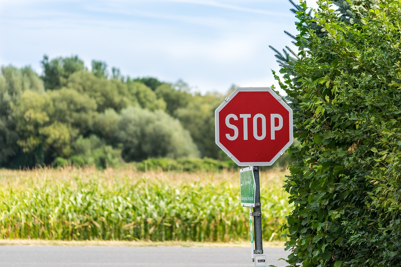 green crops agriculture free photo