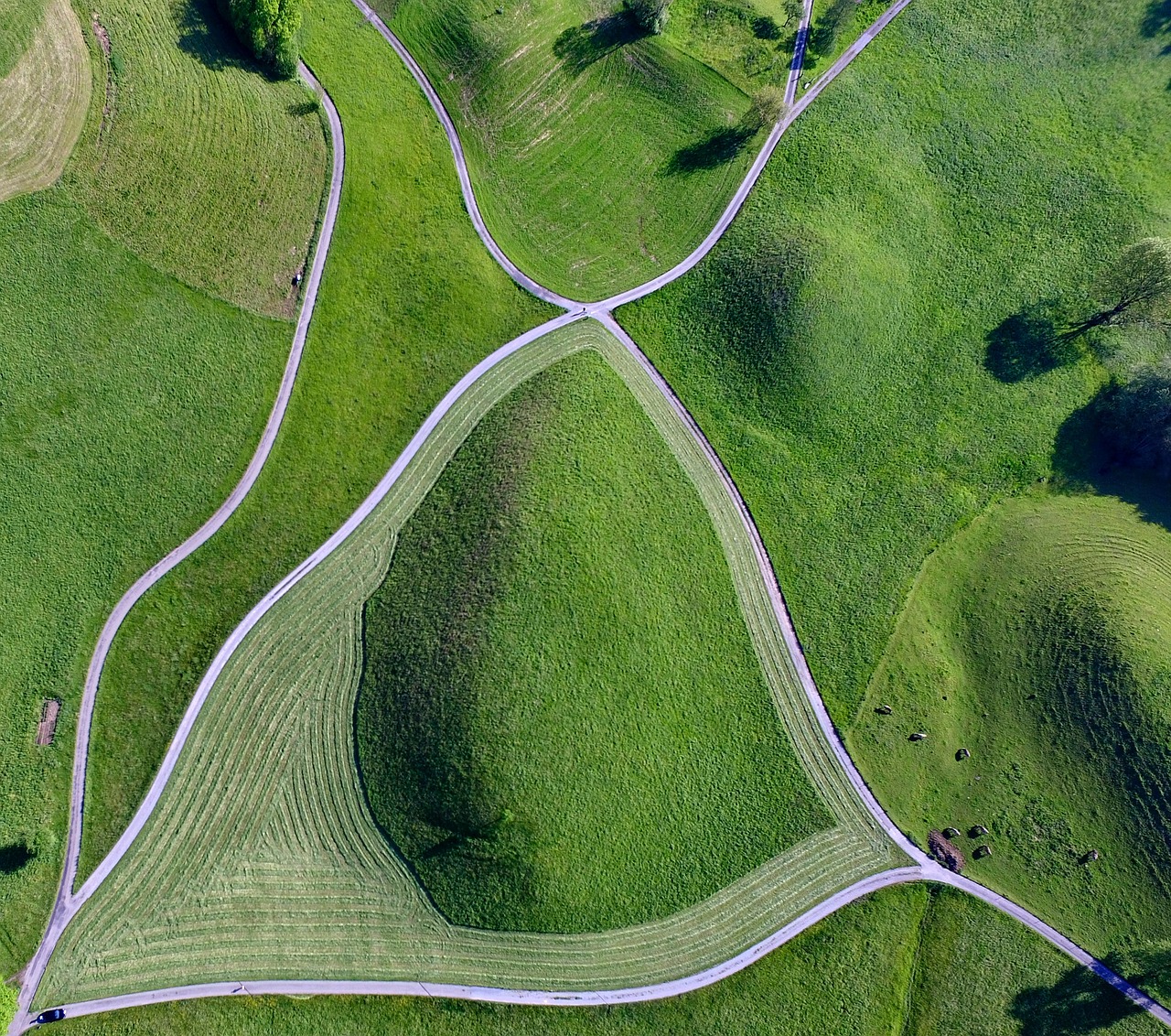 green field grass free photo