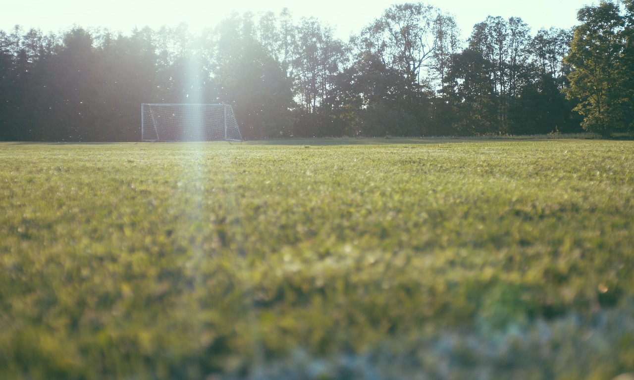 green football field free photo