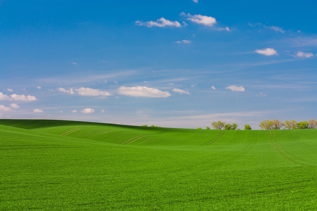 green grass grassland free photo