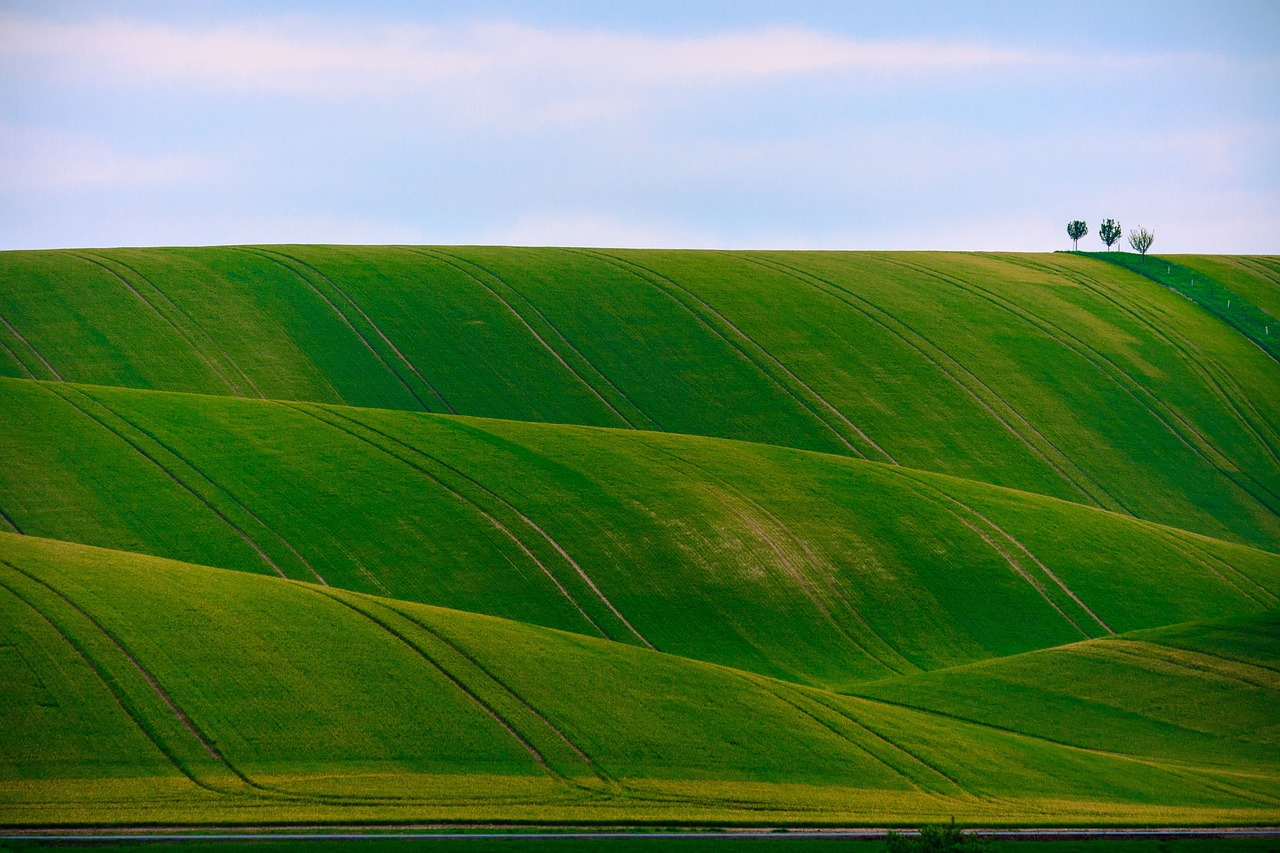 green grass grassland free photo