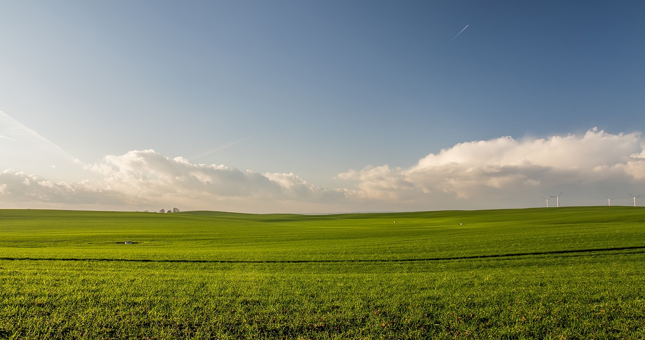 green grass field free photo