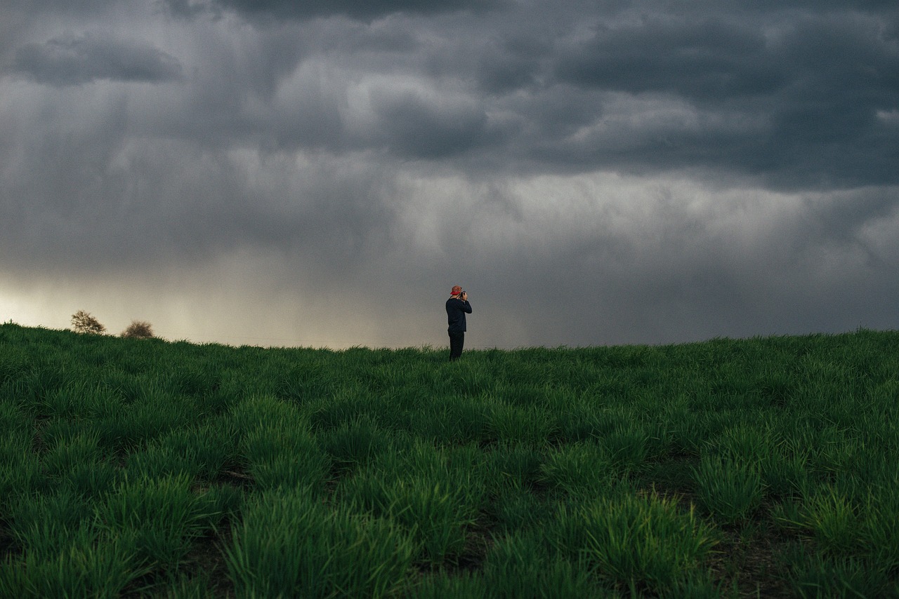 green grass field free photo