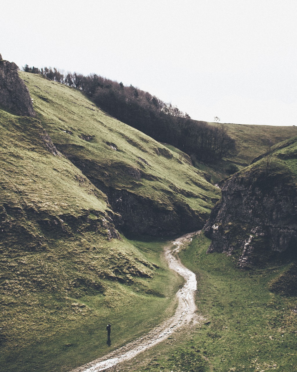 green grass highland free photo