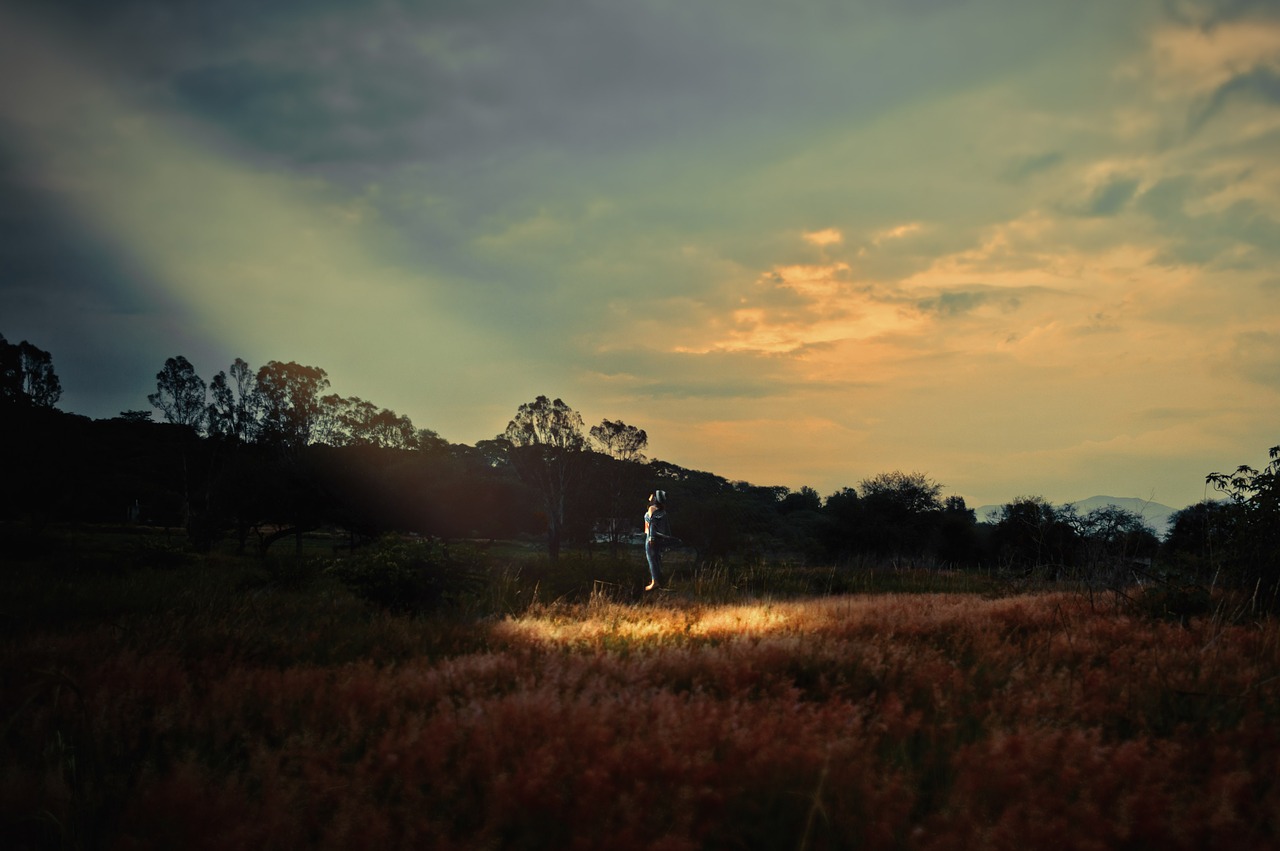 green grass trees free photo