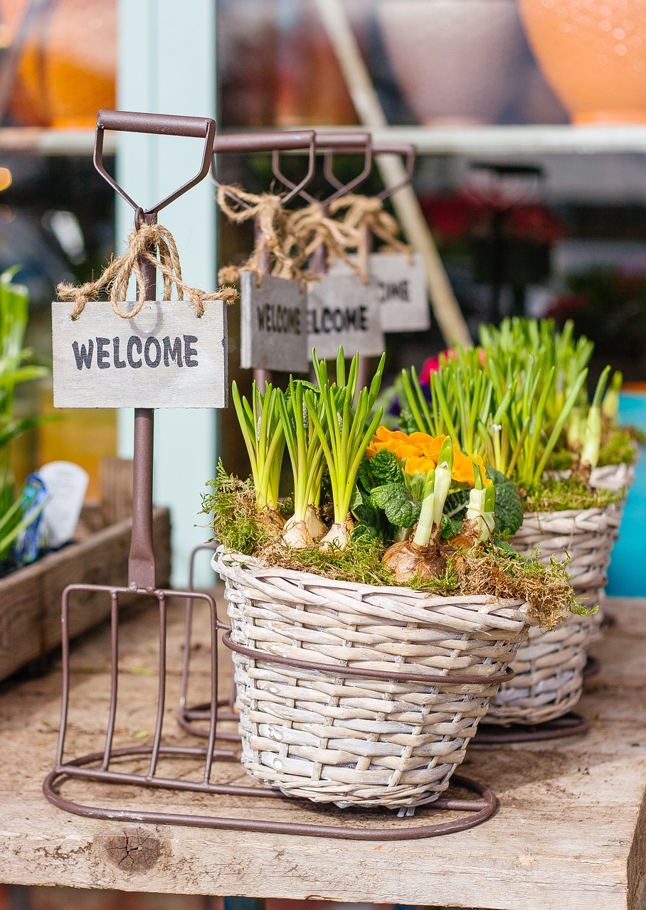 green plant garden free photo