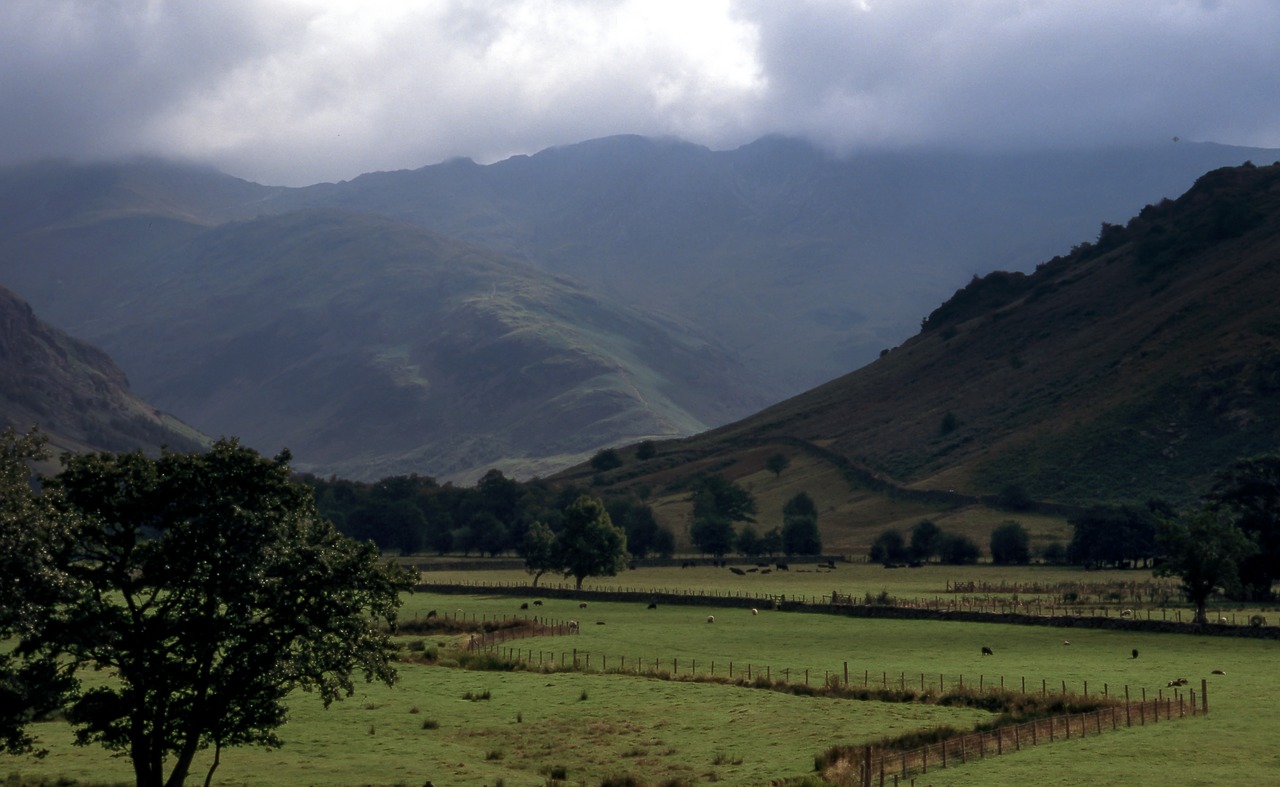 green grass field free photo