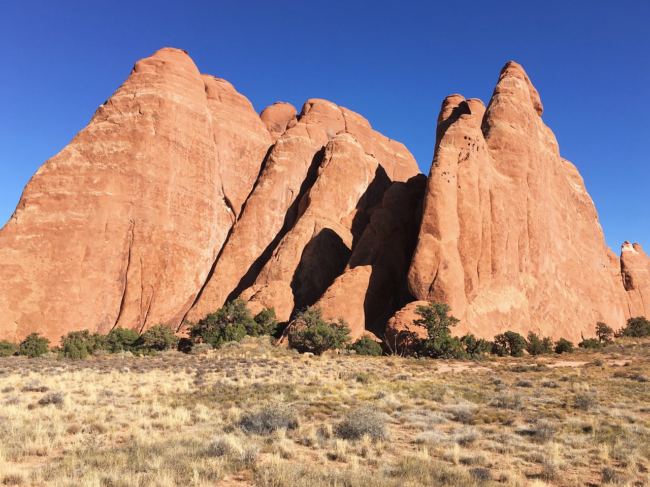 green grass rocks free photo