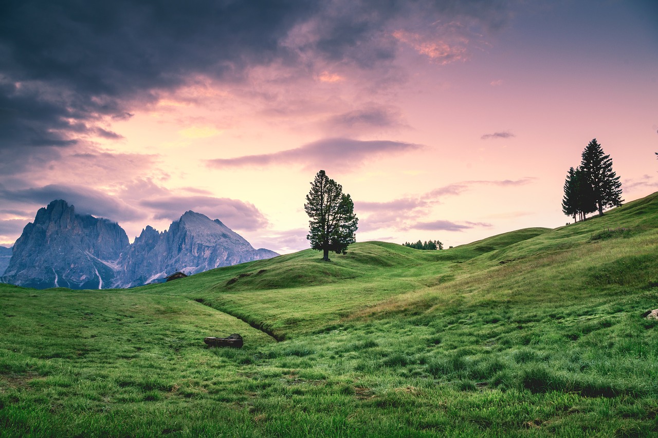 green grass mountain free photo