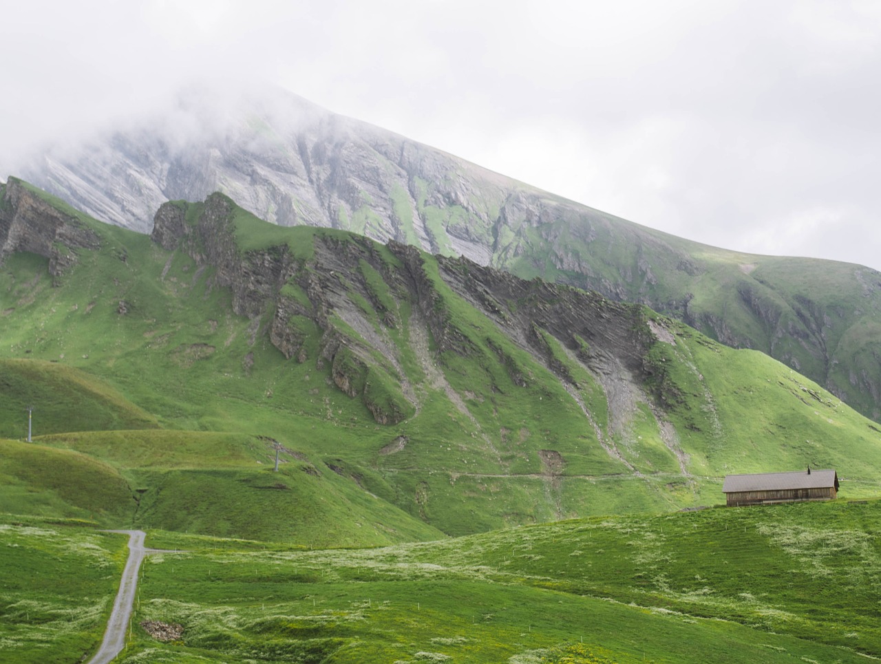 green grass highland free photo