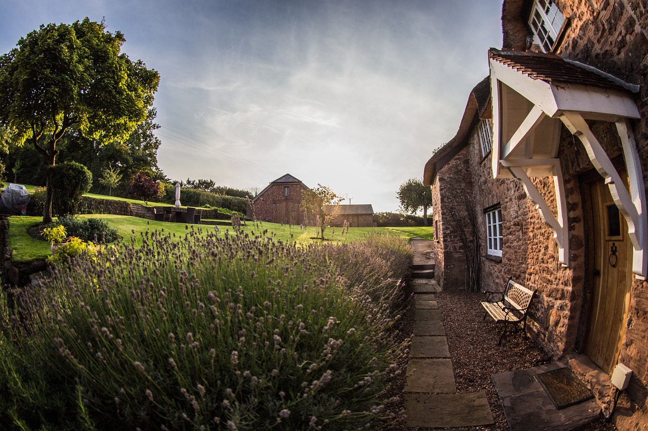 green grass field free photo