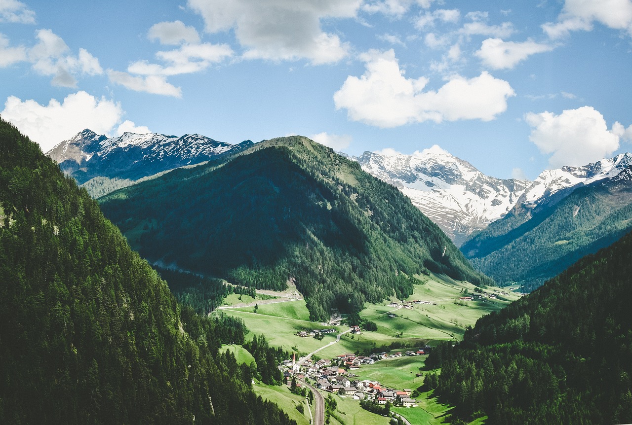 green grass highland free photo