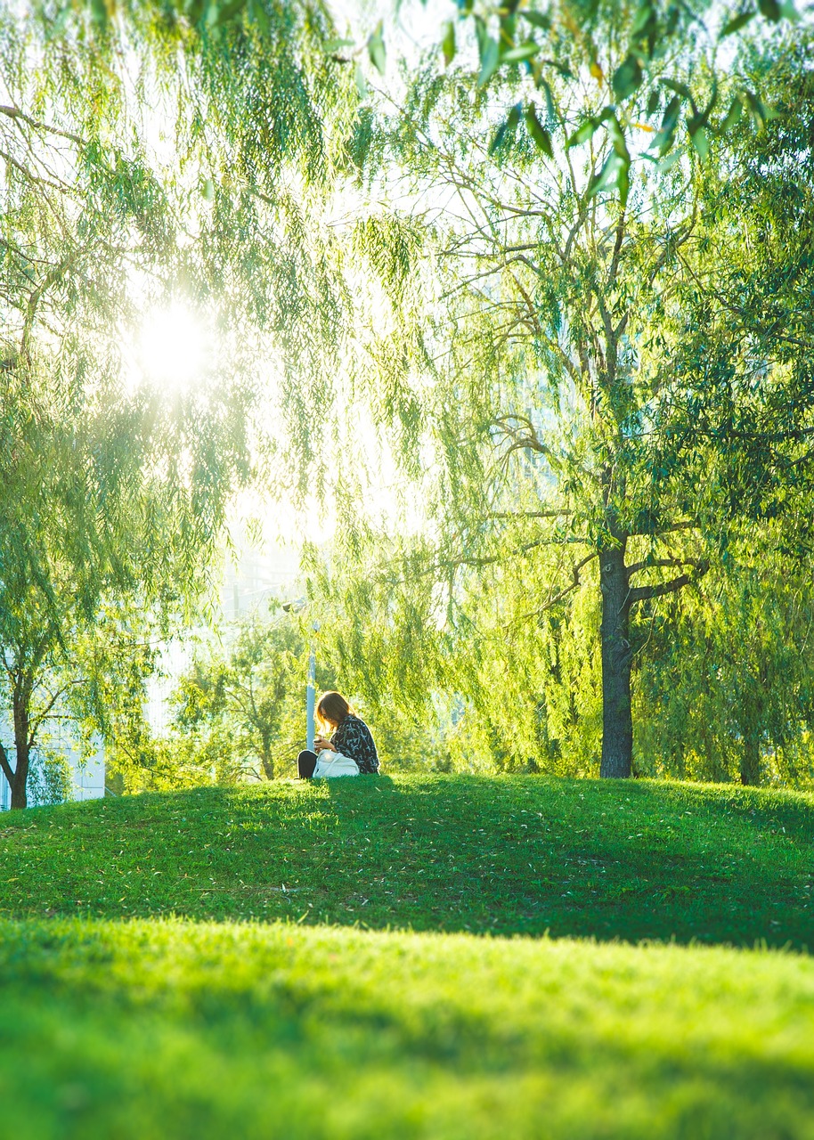 green grass nature free photo