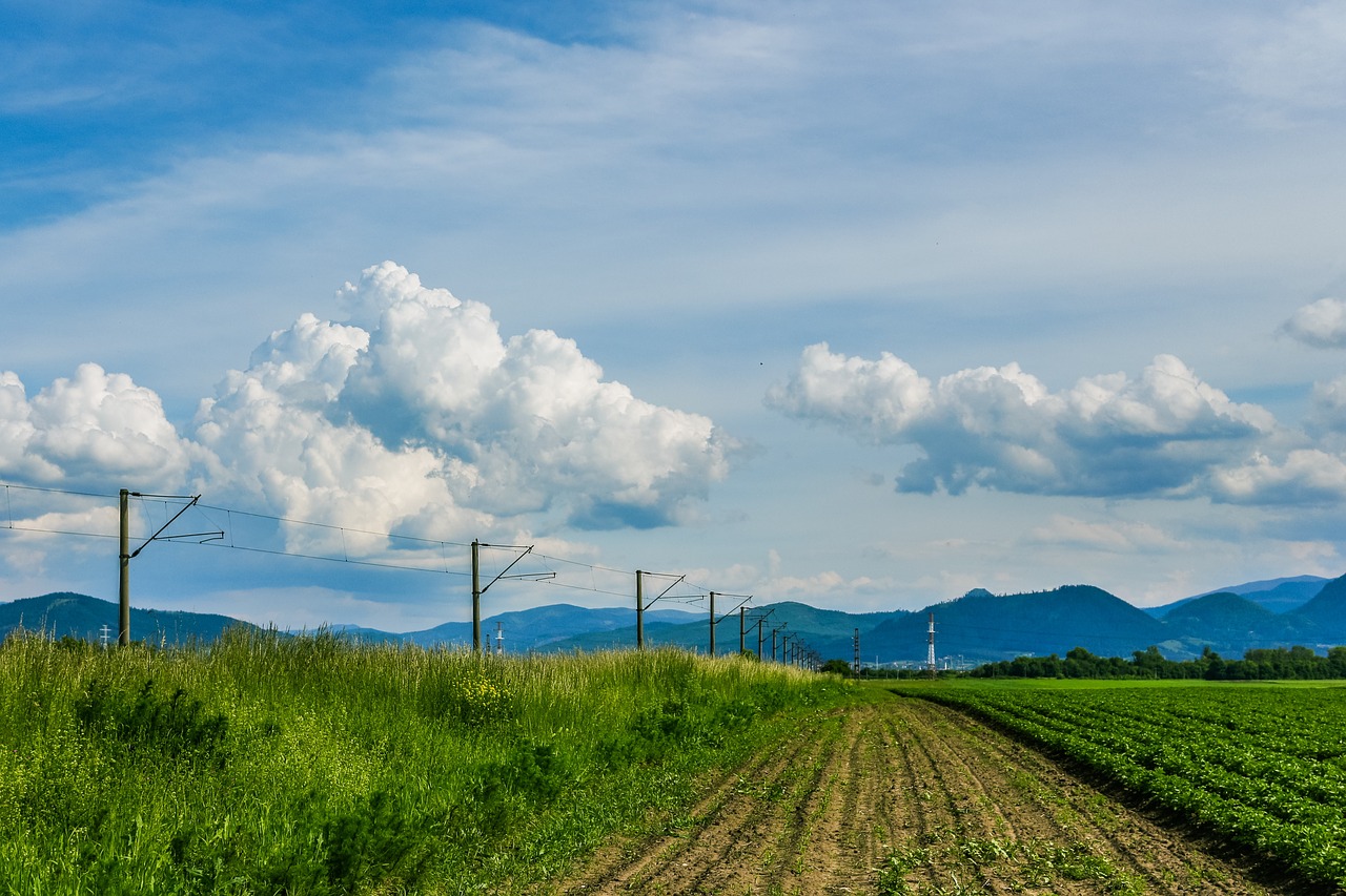 green grass grassland free photo