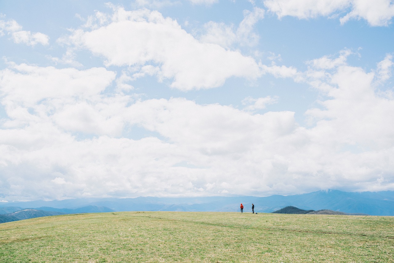 green grass highland free photo