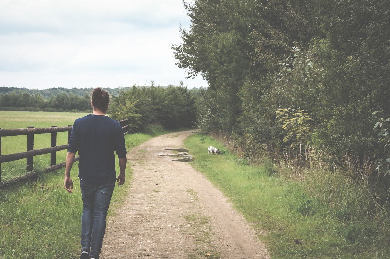 green grass path free photo