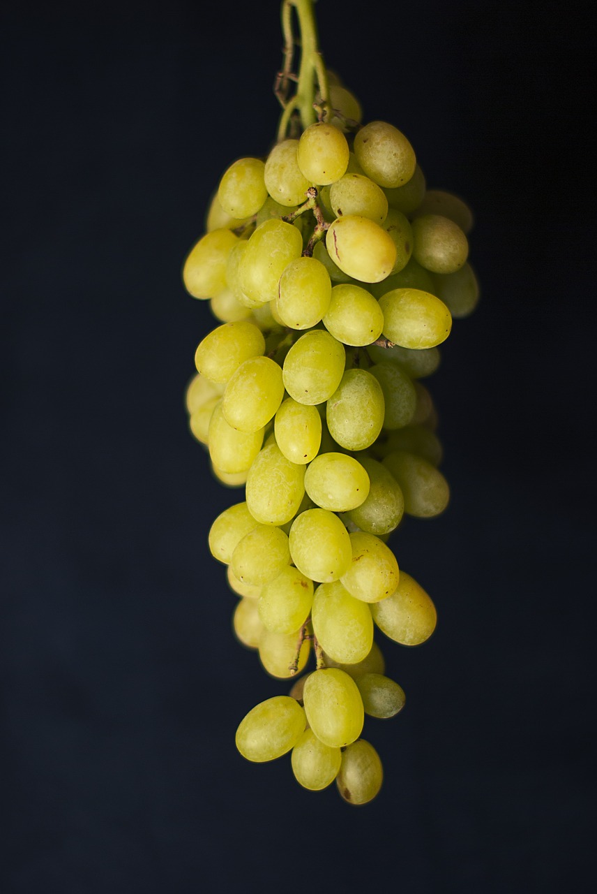 green grapes fruits free photo