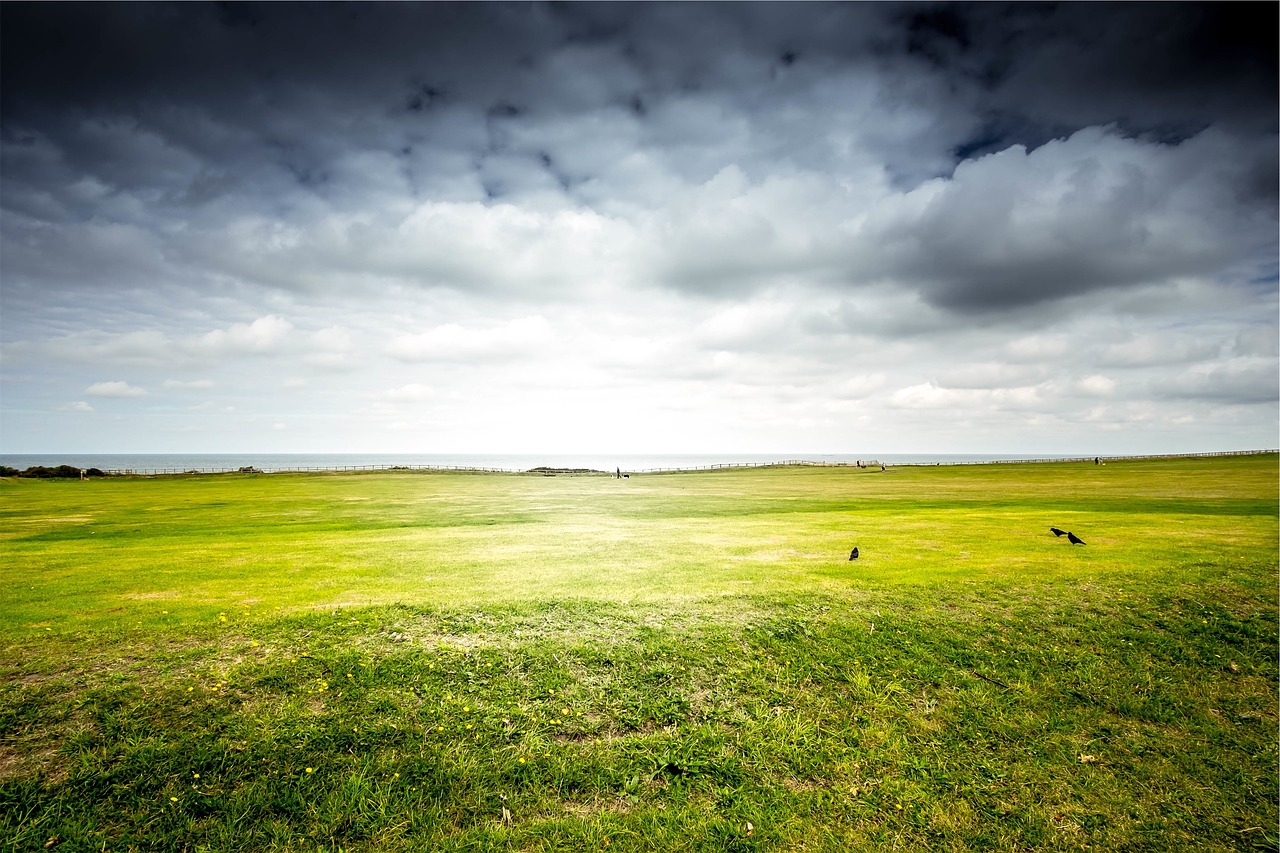 green grass field free photo