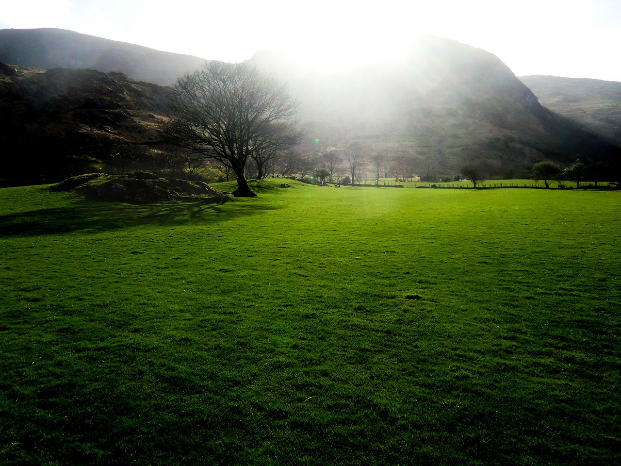 green meadow ireland free photo