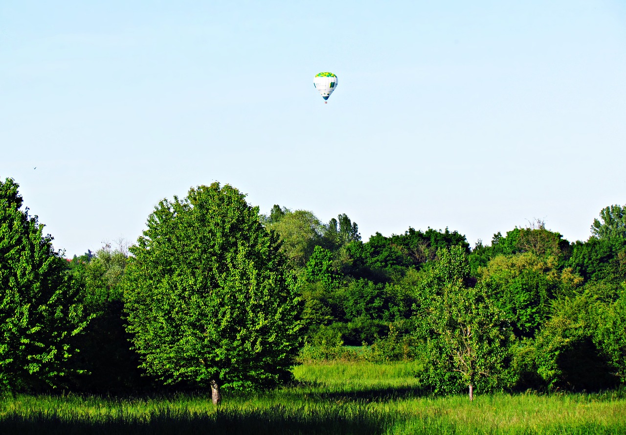 green landscape balloon free photo