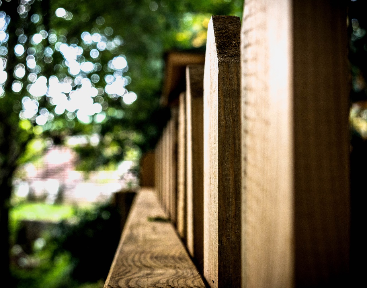 green macro wood free photo