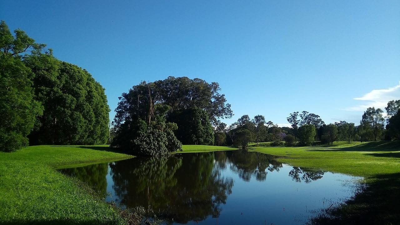 green reflection blue free photo