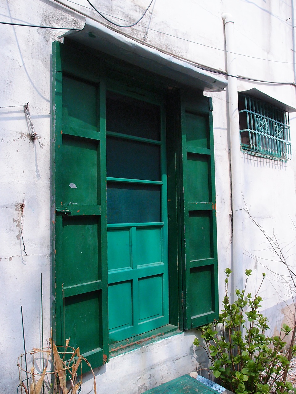 green old door gate free photo