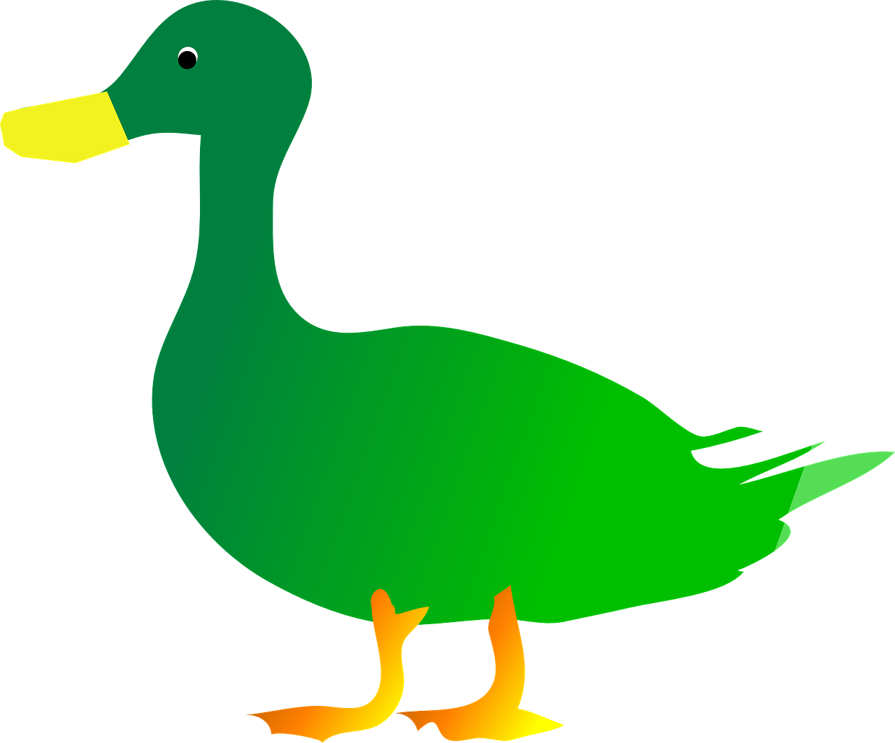green bird duck free photo