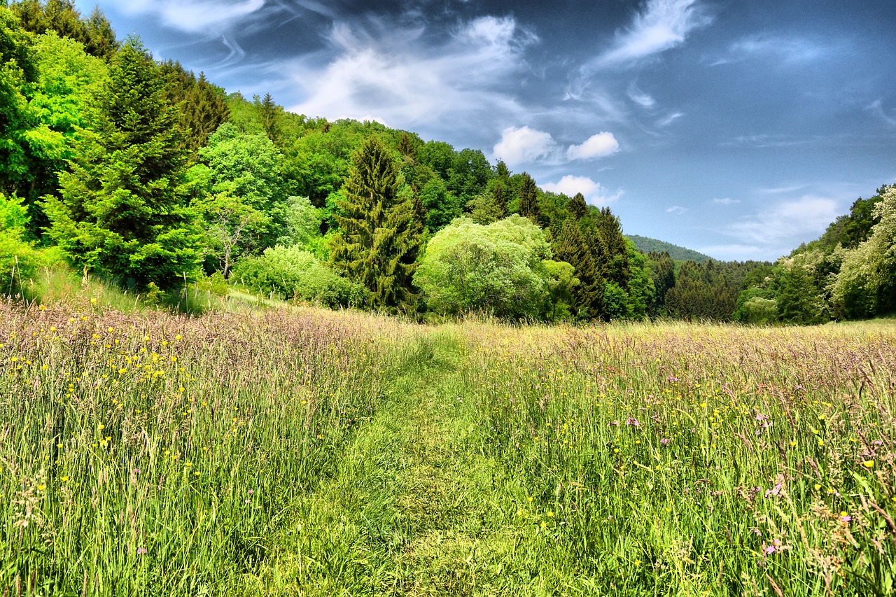 green  landscape  nature free photo