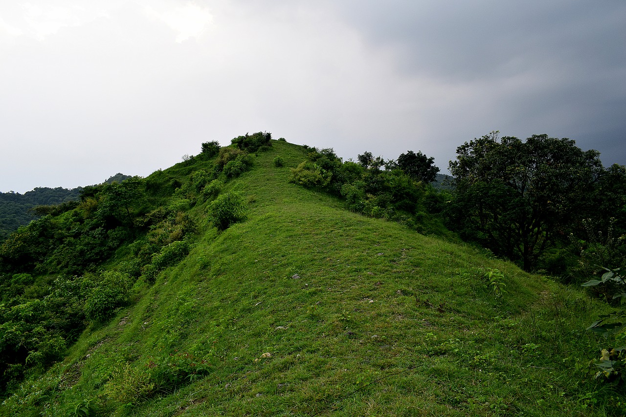 Green hill. Заросший холм. Холмы заросшие травой. Огромные холмы заросшие правой.