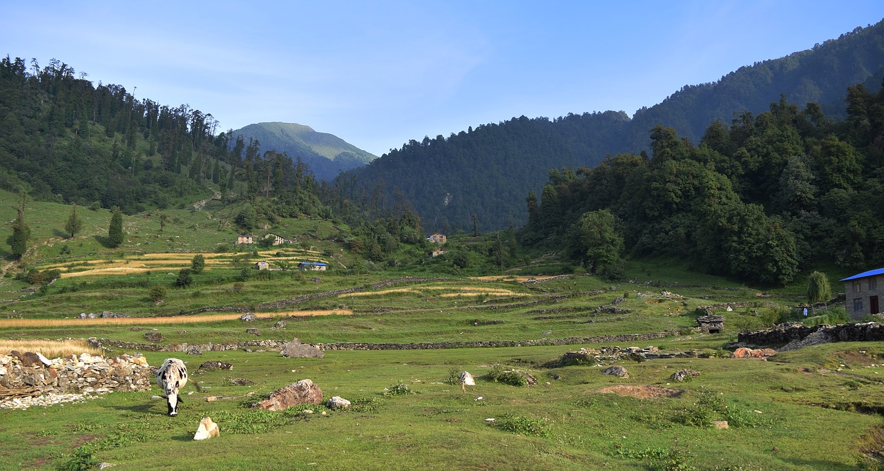 green  nepal  nature free photo