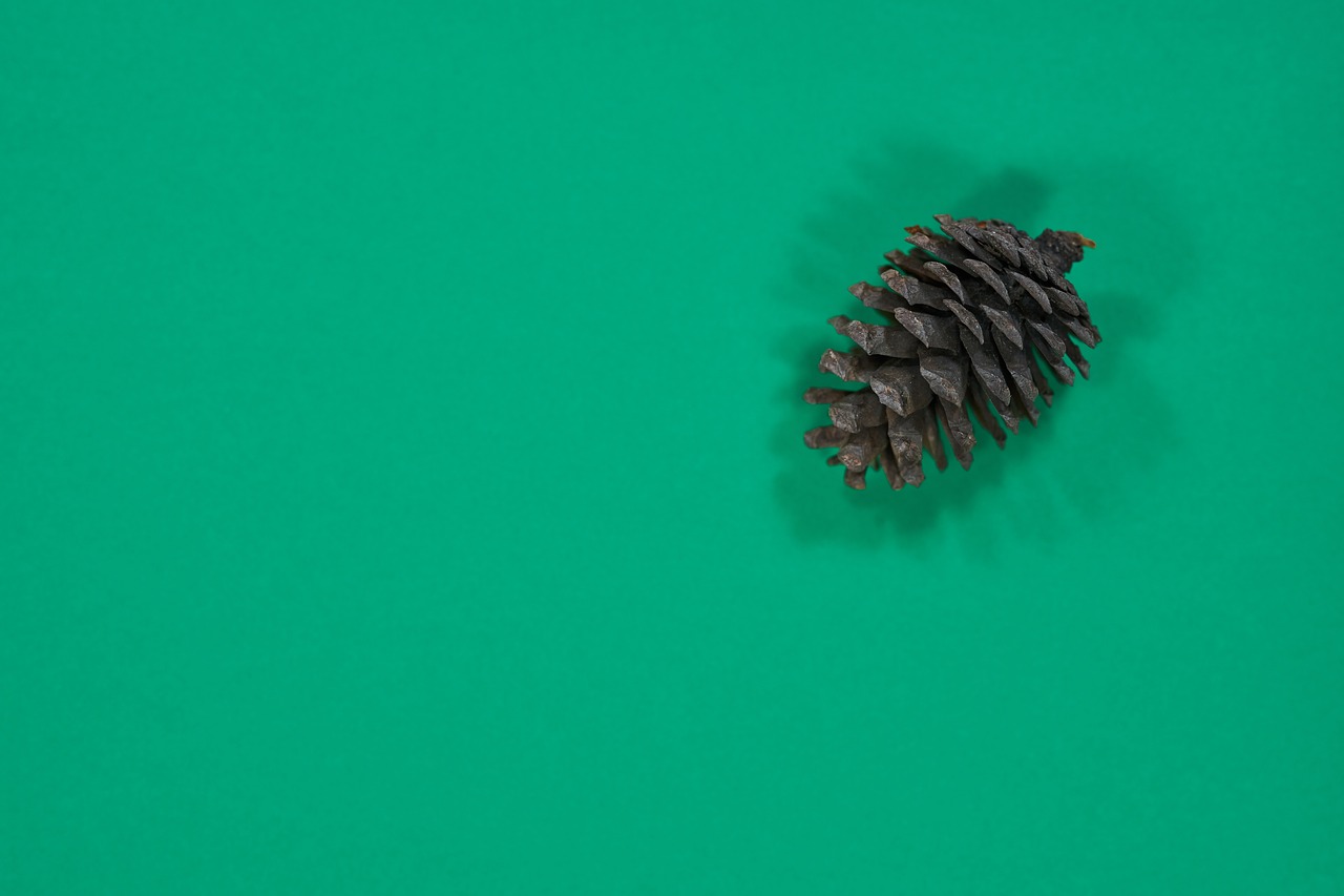 green  cone  paper free photo