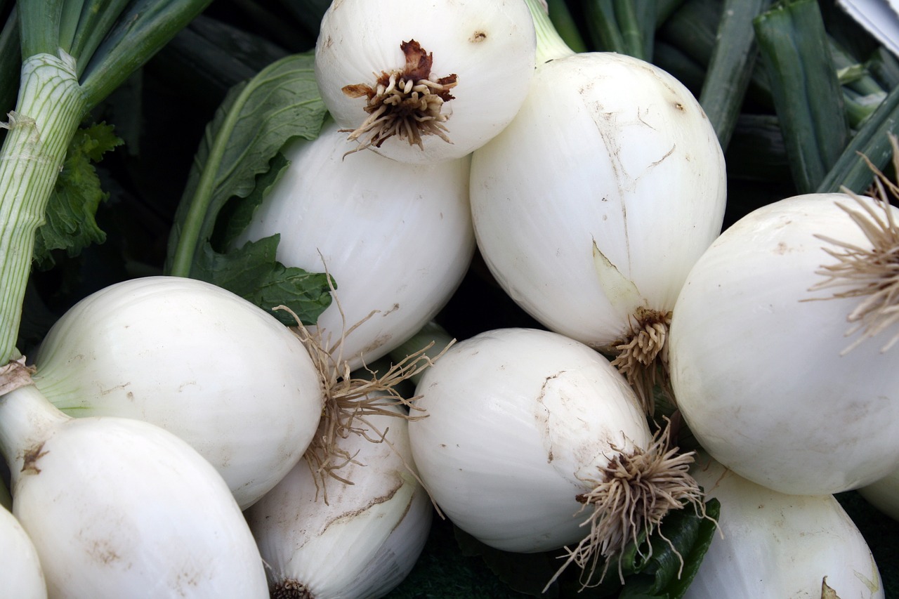 green  onions  farmers free photo