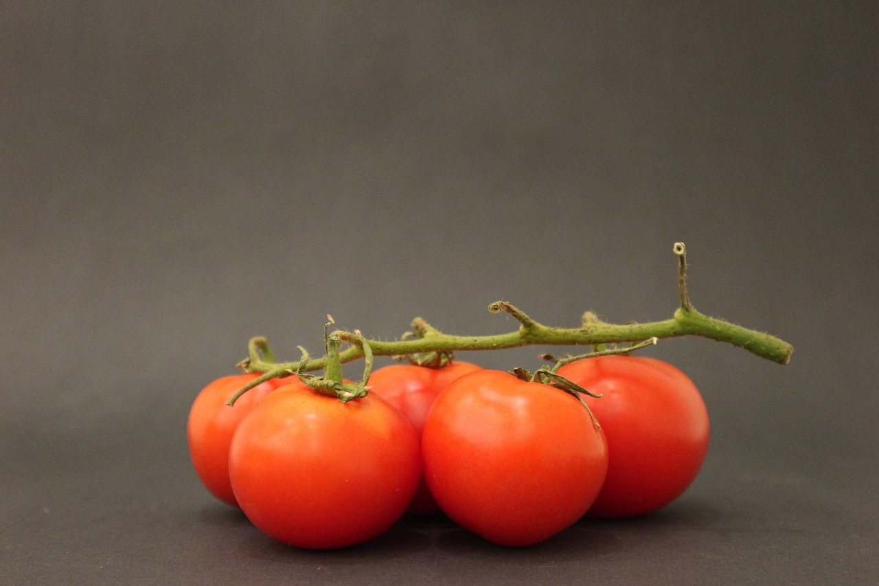 green  handle  tomato free photo