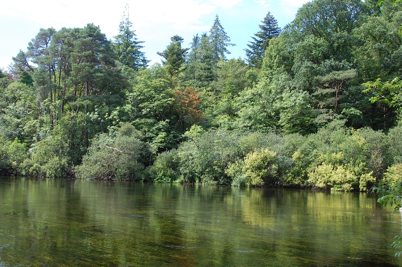 green  river  ireland free photo