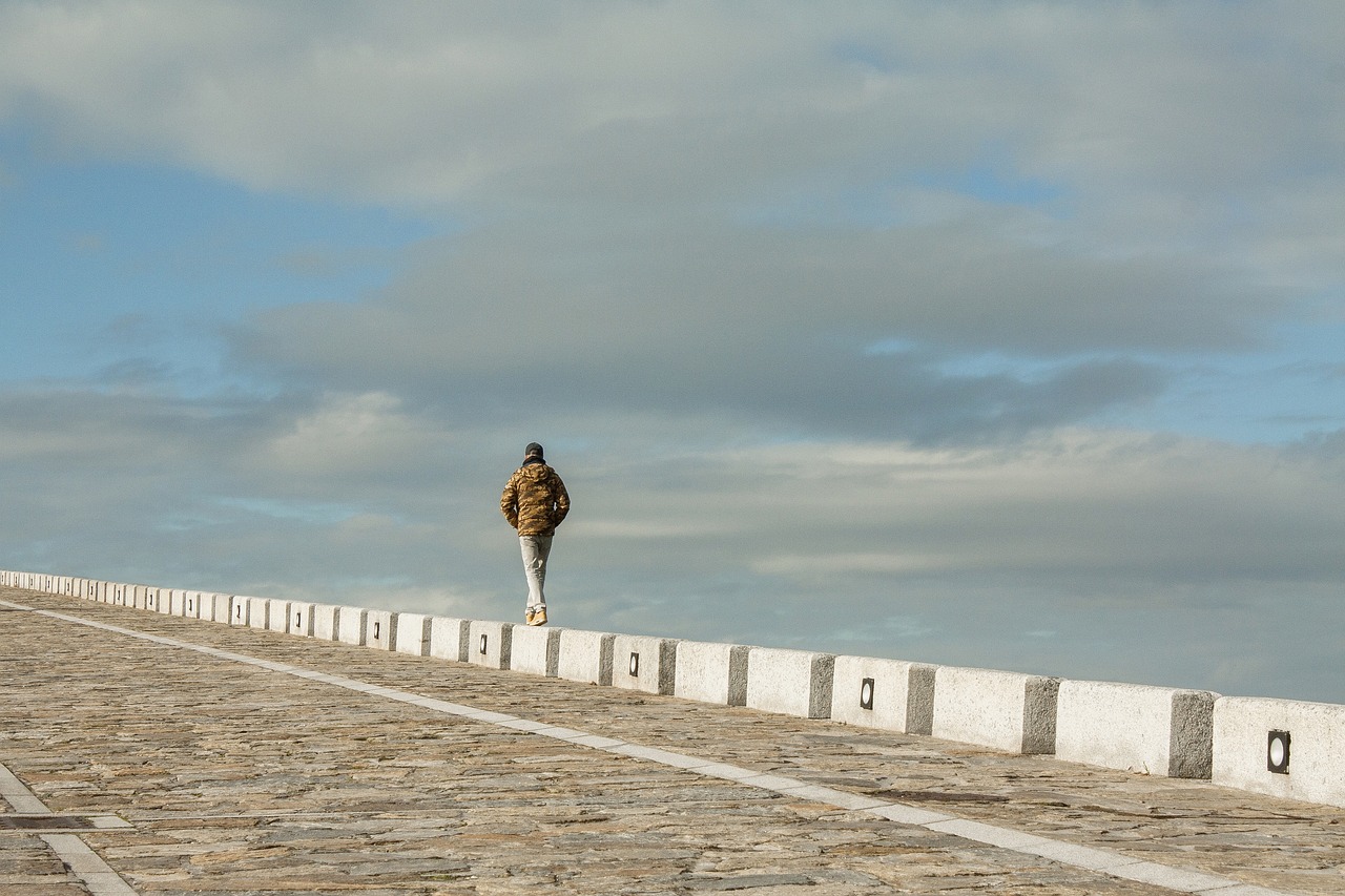 green  sky  path free photo