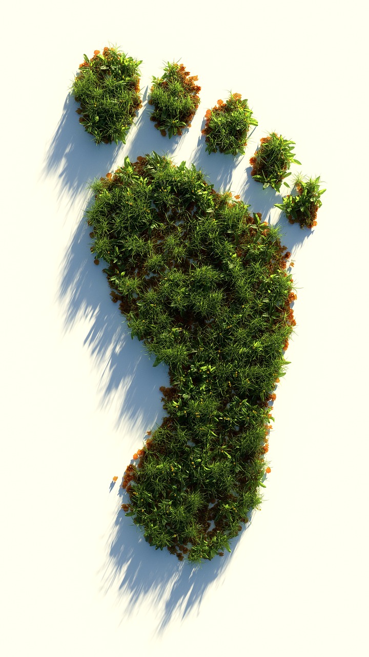 green  healthy  footprint free photo