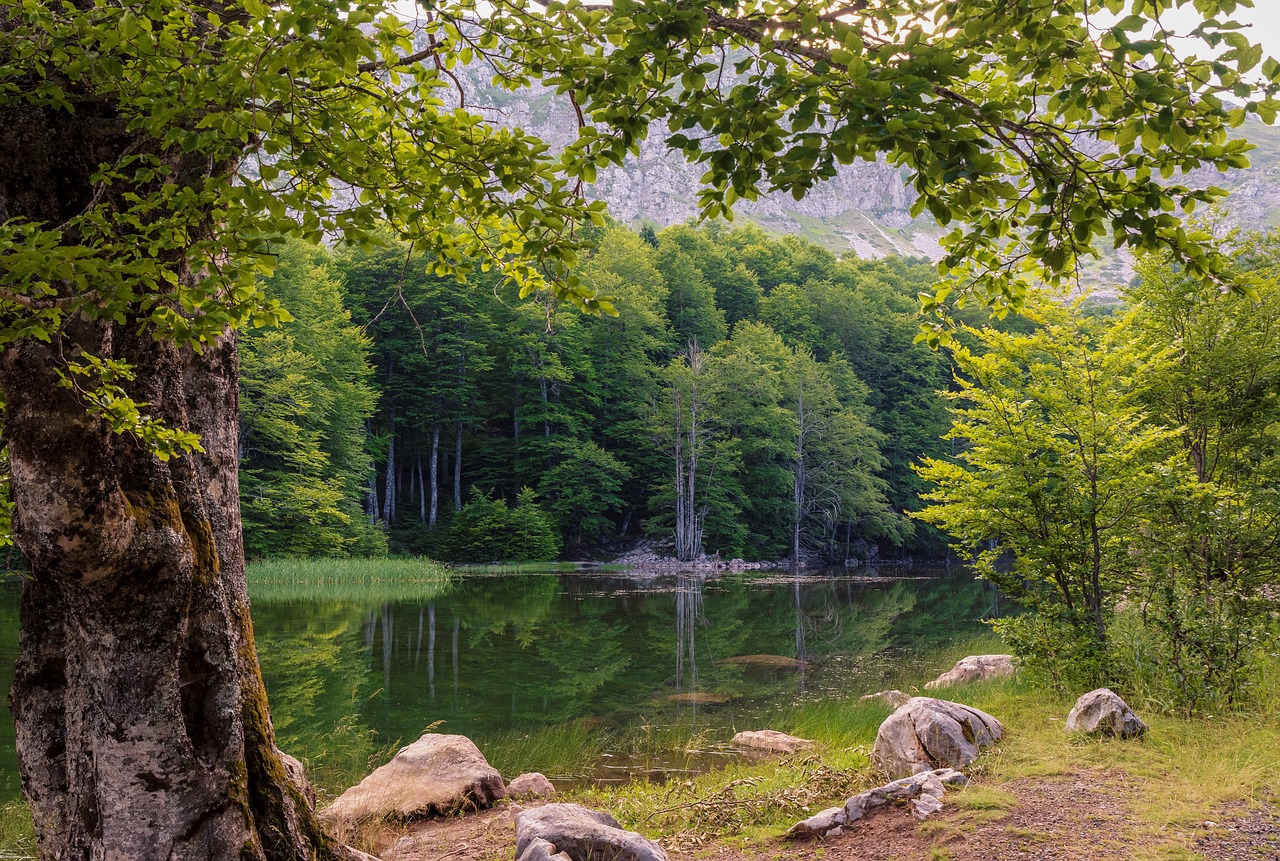 green  mountain  landscape free photo