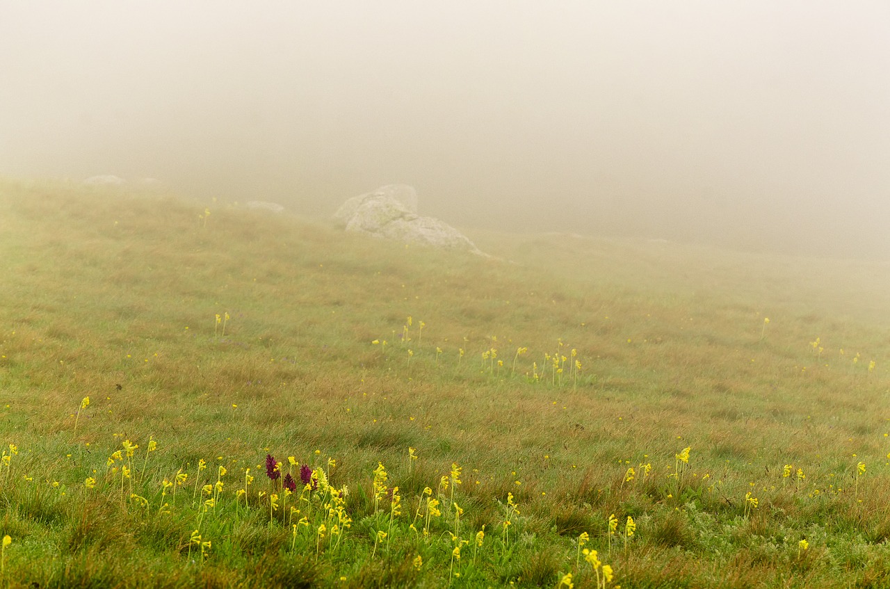 green  mountain  landscape free photo