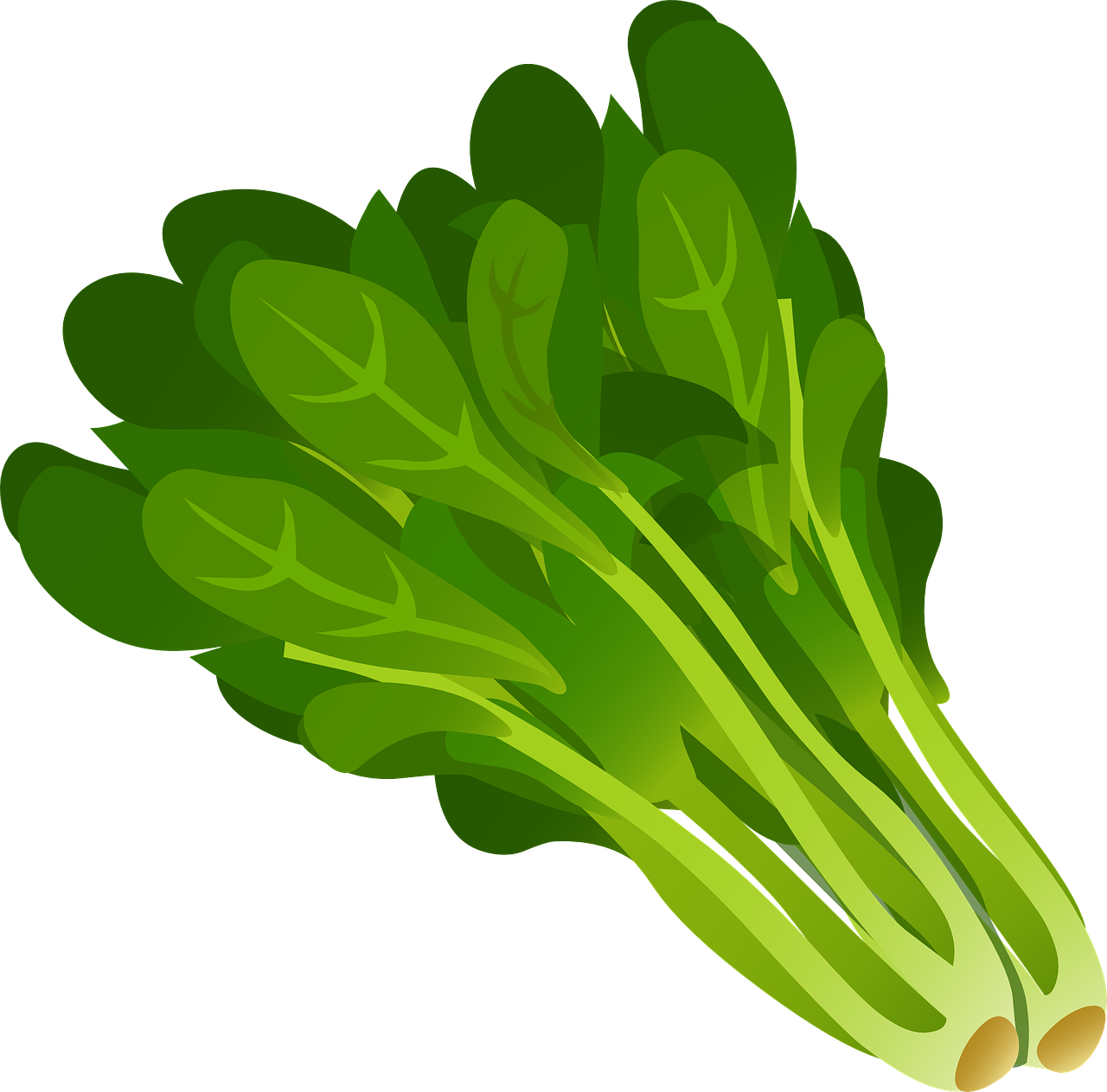 green leafy vegetables free photo