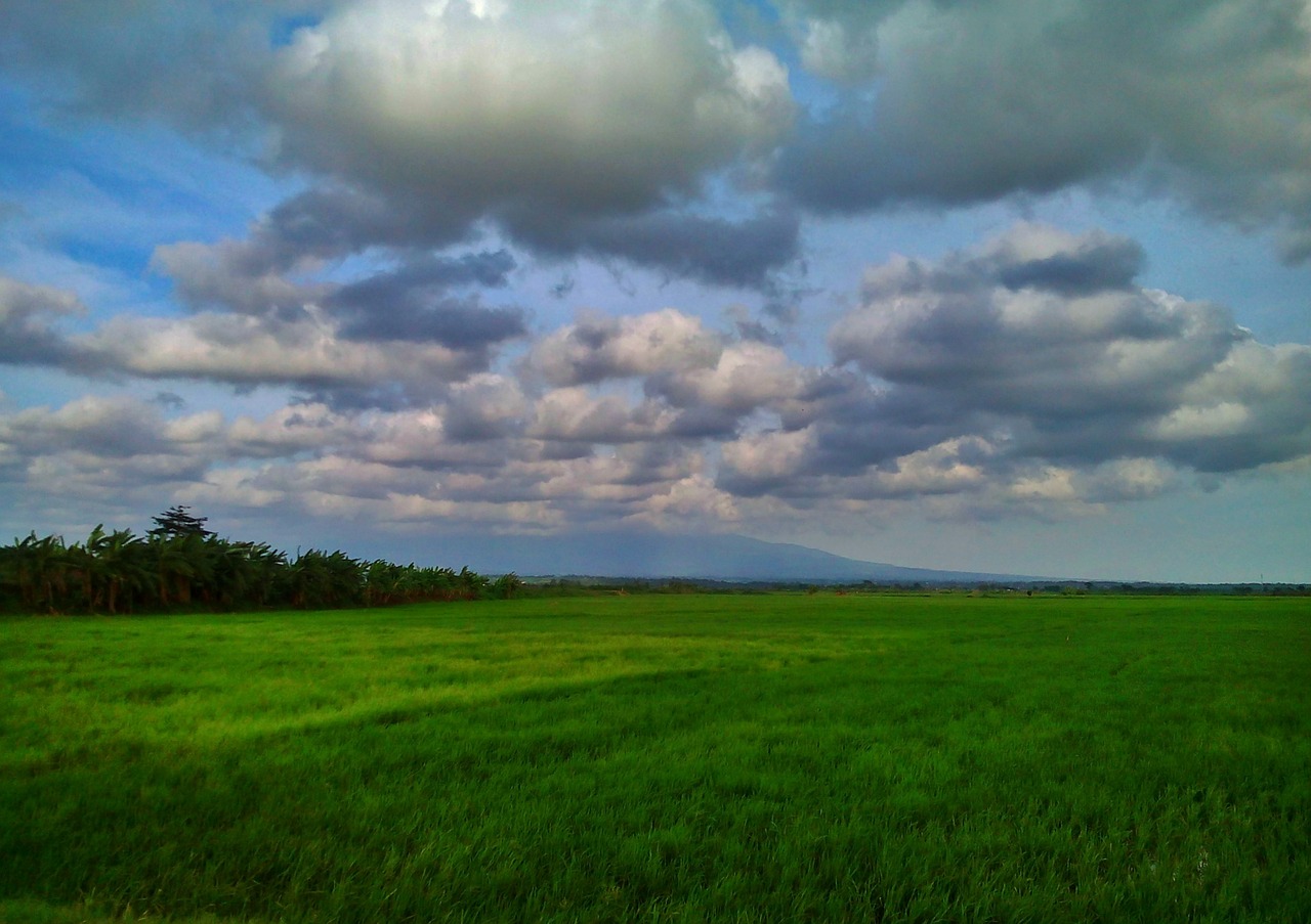 green cloud nature free photo