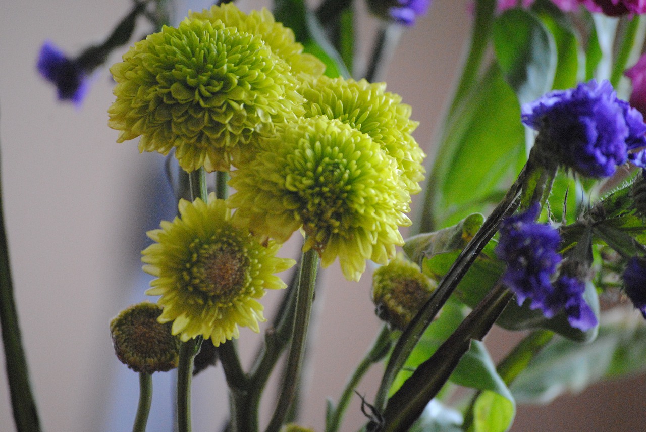 green flowers nature free photo